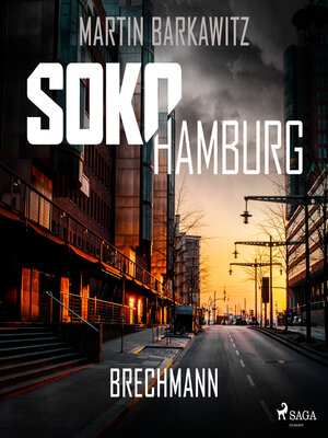 cover image of SoKo Hamburg